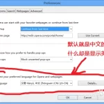 Opera怎么设置中文？