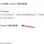 Opera浏览器Cookie是什么？